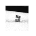 Miniatyrbilde 4 av 5: avstøpning Øredobber Beetle Zircon Punk Stud øredobber