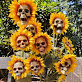 Miniatyrbillede 2 af 5: Halloween Ornament Solsikke Skull Ornament (2 stykker)