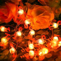 Miniatyrbilde 1 av 3: LED Flamingo String Lights Thanksgiving Flamingo String Lights, 2 meter 20 Lights Flamingo Batteri LYCXAMES