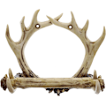 Miniatyrbild 2 av 5: Rustik 8-punkts Antler väggmonterad toalettpappershållare - Badrumsinredning
