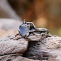 Miniatyrbild 5 av 5: Hollow Simple Statement Vintage Ring Blad Blomma Moonstone Lady Ring Smycken Accessaries US 8