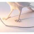 Miniatyrbillede 5 af 5: Sort-resin lucky bird krage væglampe bordlampe natlampe soveværelse sengebord stue væglampe ho
