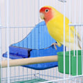 Pikkukuva 4 / 5: Riippuva lintukylpy, suihkuhäkin puhdistus lintukylpyhäkkiin Bird Bath Box Lintukylpy Papukaija lintulaatikko kylpylaatikko pienille bi-biisille