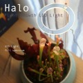 Miniatyrbilde 3 av 4: LED-vekstlys for innendørs planter, fullt spekter, justerbar høyde, varmhvit