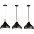 Miniatyrbillede 1 af 4: PCS Pendel Creative Simple E27 Indendørs Belysning Lysekrone Suspension Soveværelse Stue (Sort) - Sort