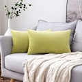 Miniatyrbillede 2 af 5: Sæt med 2 fløjlspudebetræk Dekorativ sofa Pudebetræk Super Glat Blød Komfortabel dekoration Hjem Stue Soveværelse Til Sofa 60x60cm Lys G