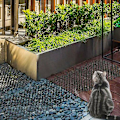 Miniatyrbilde 2 av 5: 2 meter kattematter med pigger prickle strips