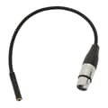 1/8 tomme til XLR hunbalanceret 3,5 mm stereo mini jack adapterkabel mikrofon lyd