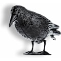 Pikkukuva 1 / 4: Black Crow, Pigeon Repeller ja muovinen kyyhkynen karkotin, Bird Repeller, Luonnollinen tuholaistorjunta, Suojaus ärsytystä vastaan