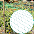 Pikkukuva 5 / 5: Lintuverkkoa suojaava verkko puutarhan hedelmäpuille Mesh Net Vihreä puutarhaverkko 5*20 metriä