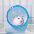 Miniatyrbillede 2 af 5: Hamster Wheel Silent Spinner - Træningshjul til hamstere gerbiler eller mus Rotte Chinchilla hjul legetøj til små dyr