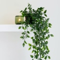 Miniatyrbillede 2 af 5: Kunstige hængende planter 3 Pack falske potteplanter til væg Hjem Soveværelse Kontor Indretning