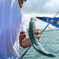 Miniatyrbilde 3 av 5: Fiskeklyper, Fiskeklyper, Cutthroat Boom Fiskeverktøy, Fiskeklyper, Krokfjernersett (blå)
