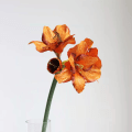 Miniatyrbillede 1 af 5: Flannel Clivia Silkeblomst Kunstig Falsk Blomst Planter Hjem Dekoration Bryllup Buket