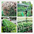 Miniatyrbilde 5 av 5: 4m x 10m Fuglenett Grønn Hage Anti Fugl Damnett For Plantebeskyttelse Mesh Netting For Skadedyrbekjempelse, Ertenett