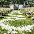 Miniatyrbilde 5 av 7: 2000 stykker hvite roseblader, kunstige roseblomster uten smak, emulerte roseblader for romantiske scener, bryllupsdag, bursdag, konf White
