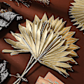 Miniatyrbillede 5 af 5: Boho Blooms Tørrede Blade | 2 Stk. Tørrede Vifter | Boho R | Neutral Home R | Bryllup R | Blade + Blomst