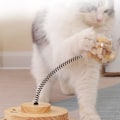 Miniatyrbild 7 av 7: Katt Leksaker Interaktiva för Innekatter Kattunge Leksak, Katt Boll Leksak Katt Godis Fjäder Leksak med Cirkel Boll Spår, Trä Automatisk Katt Leksak Långsam Matare Tr Treat Toy