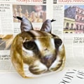 Pikkukuva 8 / 8: Floppa-pehmolelu, Floppa-pehmolelu täyte, 6,5 tuuman iso Floppa-pehmolelu piirretty kissa täytetty eläin pehmolelut, pehmeä ja söpö syntymäpäiväjuhlan animaatio