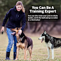 Miniatyrbillede 4 af 7: Hundepfløjte Hundetræningsklikker Multifunktion Langdistance Ideel til Hundetræning (Sort)