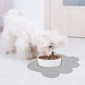 Miniatyrbillede 3 af 8: Heveer Fodermåtte til kæledyr, katte- og hundefodermåtte, silikone skålmåtte, skridsikker, vandtæt, til hunde- og kattemad- og vandskåle, grå