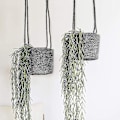 Miniatyrbild 3 av 5: 2 st Macrame Hängande Korgar Boho Dekoration Växtställ Bomullsrep Blomkruka Hängande Växtställ Inomhus Utomhus Balkong Väggdekoration