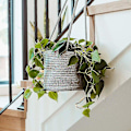 Miniatyrbild 2 av 5: 2 st Macrame Hängande Korgar Boho Dekoration Växtställ Bomullsrep Blomkruka Hängande Växtställ Inomhus Utomhus Balkong Väggdekoration