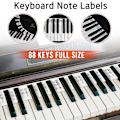 Miniatyrbilde 5 av 5: Piano Keyboard Note Labels Avtakbar Silikon Piano Note Guide Med Eske[HK] Colorful