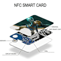 Miniatyrbillede 3 af 5: 38 stk Nfc Amiibo Kort til The Legend of Zelda Breath of the Wild/Tears of the Kingdom Forbindelseskort [HK]
