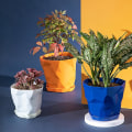 Miniatyrbillede 3 af 5: Blomsterpotte Holdbar Stabil Dekorativ Åndbar Sukkulenter Børnehave Have Plantepotte Med Bakke Til Hjem Qinhai[HkkK] White L