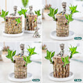 Miniatyrbillede 2 af 5: Mini Brasiliansk Træ Potteplanter Ren Luft Lykkebringende Træ Plante Potte Hydroponiske Planter Hydroponisk Træ [HK] 6-7 Cm