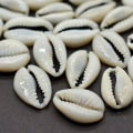 Miniatyrbilde 1 av 4: HKK  100 stk. Bulk Cut Sea Shell Cowrie Cowry Shells Beach Diy Smykker Tilbehør Dekor