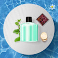 Miniatyrbilde 3 av 4: Smart Bil Aromaterapi Diffuser Luftfukter Auto Luftfrisker Luftrenser Biltilbehør [HkkK] Osmanthus Fragrans
