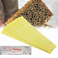 Miniatyrbilde 3 av 5: 20 stk. Bi-midd Acaricide Strip Birøkt Bi Varroa Midd Dreper Skadedyrbekjempelse ny[HK]