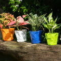 Miniatyrbillede 4 af 5: Blomsterpotte Holdbar Stabil Dekorativ Åndbar Sukkulenter Børnehave Have Plantepotte Med Bakke Til Hjem Qinhai[HkkK] Green L
