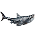Pikkukuva 2 / 3: Merieläinmalli Megalodon koristelelu [HK]