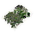 Miniatyrbillede 2 af 2: Ægte Tørrede Blade Tørrede Pressede Bladplanter Prøve DIY Tilbehør til Håndværk Harpiks Smykkefremstilling (7 Mønstre, Naturlig Farve Stil 1)[HK] Green 13X17.6cm