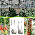 Miniatyrbillede 2 af 5: Tomatstøttekroge med 15m snor - 6 stk., espalierrullekroge til tomatplanter i drivhus [HK]