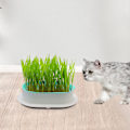 Miniatyrbild 3 av 4: Såbricka Groddningsbehållare för Fröplantering Växthus Hem Vit Grön[HK]