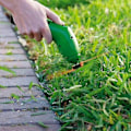 Miniatyrbilde 1 av 3: Håndholdt Elektrisk Gressklipper Trådløs Mini Hage Bærbar Trimmer[HK]