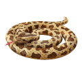 Miniatyrbillede 1 af 5: Slange Plysdyr Plys, Kæmpe Anaconda Realistiske Børnelegetøj[HK] 200cm Brown