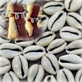 Miniatyrbilde 2 av 4: HKK  100 stk. Bulk Cut Sea Shell Cowrie Cowry Shells Beach Diy Smykker Tilbehør Dekor