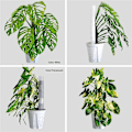 Miniatyrbild 4 av 5: 4 st 43 cm Plast Moss Pole för Växter Monstera, Specifikt Designad för Klätterväxter, Stac[HK] Transparent