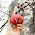 Miniatyrbilde 5 av 5: Kjøkken Timer 360 Grader Roterende Plast Mekanisk Timer Alarm[HK] Strawberry