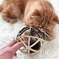 Miniatyrbild 4 av 4: HK  Kattleksak Bollkatt Musboll Bur Kattleksak Interaktiv Kattleksak Pip Mus Kattleksak,katt Musboll Leksak