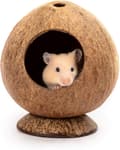 1 Piece Natural Coconut House for Hamster Suitable for Small Animals C