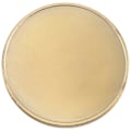 Miniatyrbilde 5 av 5: 10 stk Blanke Mynter for Gravering, 40 mm i Diameter med Akrylbeskyttelsesboks (messing)