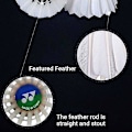 Miniatyrbillede 4 af 5: Yonex Badminton fjerbold As50 Badminton bolde 12 stk gåsefjer 77 hastighed