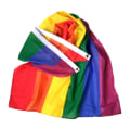 Miniatyrbillede 2 af 4: Pride-flag - 150 x 90 cm Multicolored multicolor