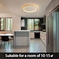 Miniatyrbilde 5 av 5: LED taklampe dimbar med fjernkontroll, 25W svart LED taklampe Φ40CM 3000K-6000K, indirekte belysning taklampe for soverom[qb]
